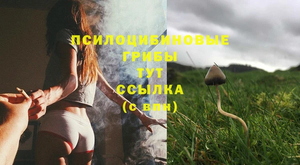 не бодяженный Армянск