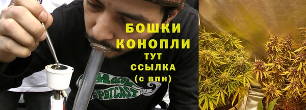 спайс Арсеньев