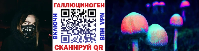 Псилоцибиновые грибы Psilocybe сколько стоит Грязовец