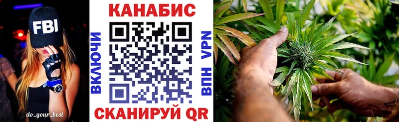 мориарти состав  Грязовец  Бошки марихуана OG Kush 